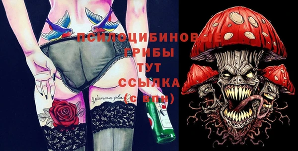 тгк Белокуриха
